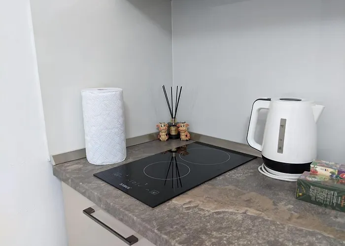 Deja-vu Old Town Apartment Timisoara