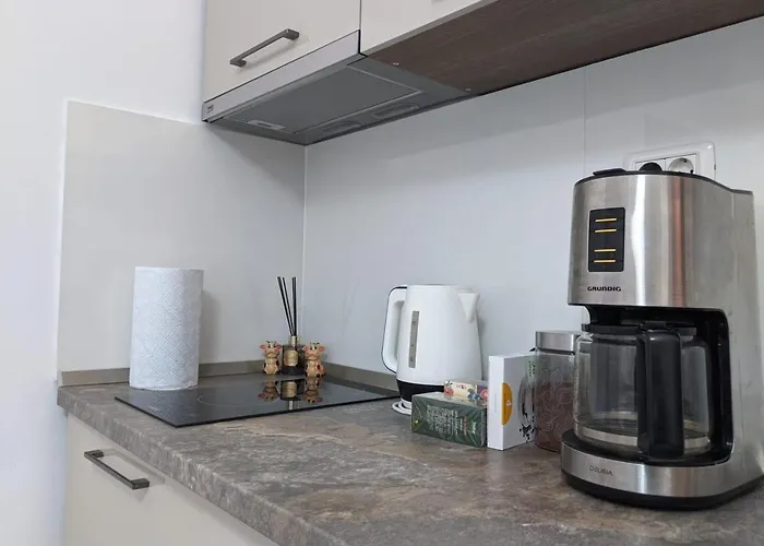 Apartment Deja-vu Old Town Timisoara